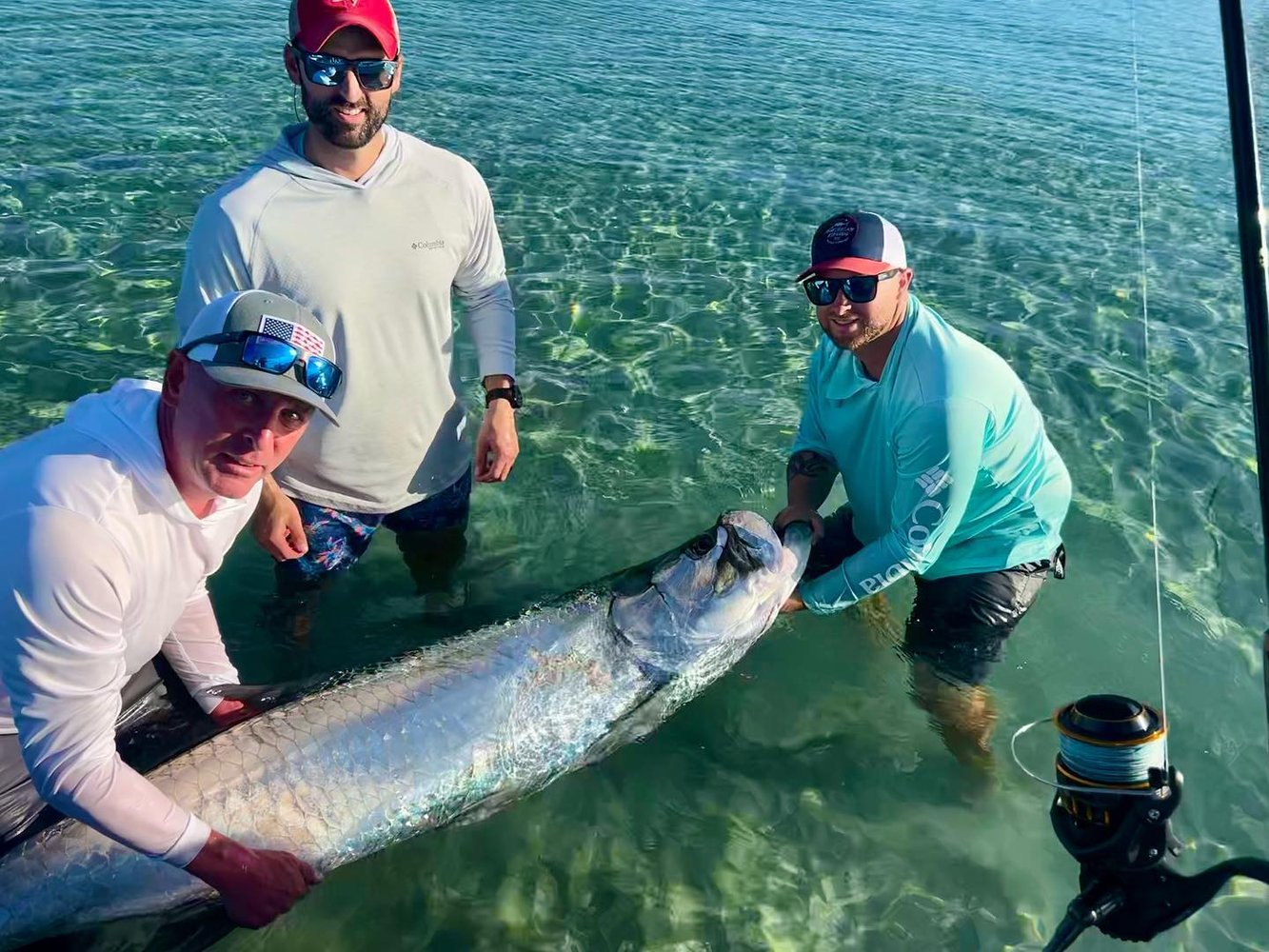 Boca Grande Tarpon In Placida