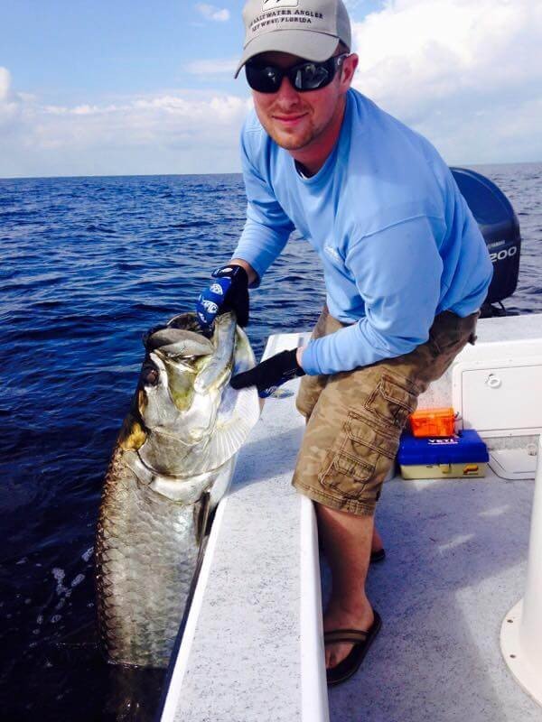 Boca Grande Tarpon In Placida