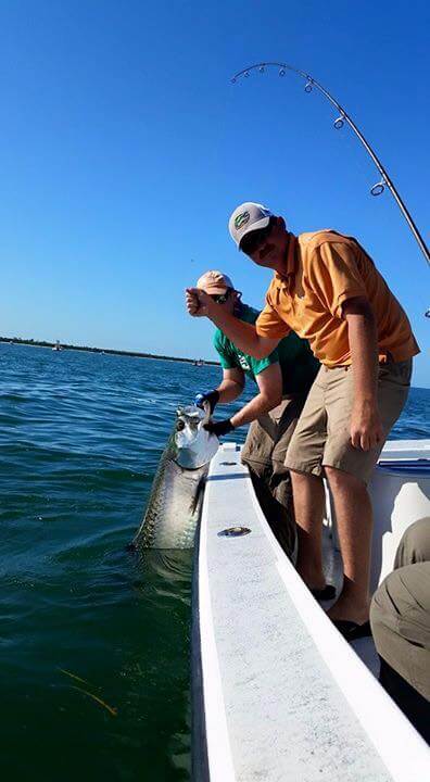 Boca Grande Tarpon In Placida