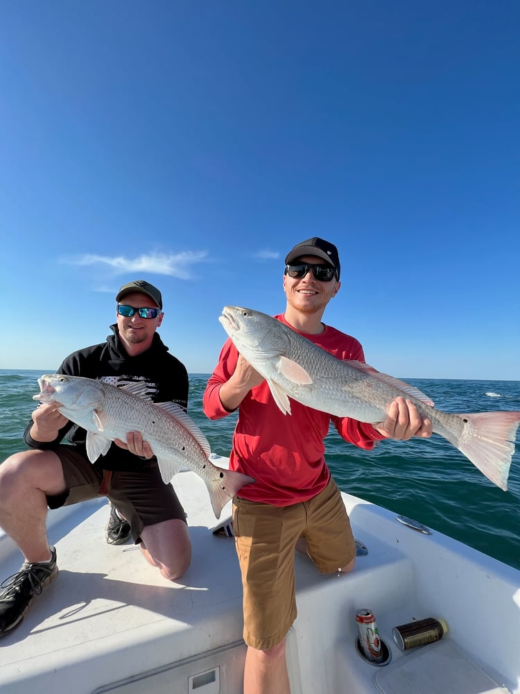 Panama City Inshore Action In Panama City