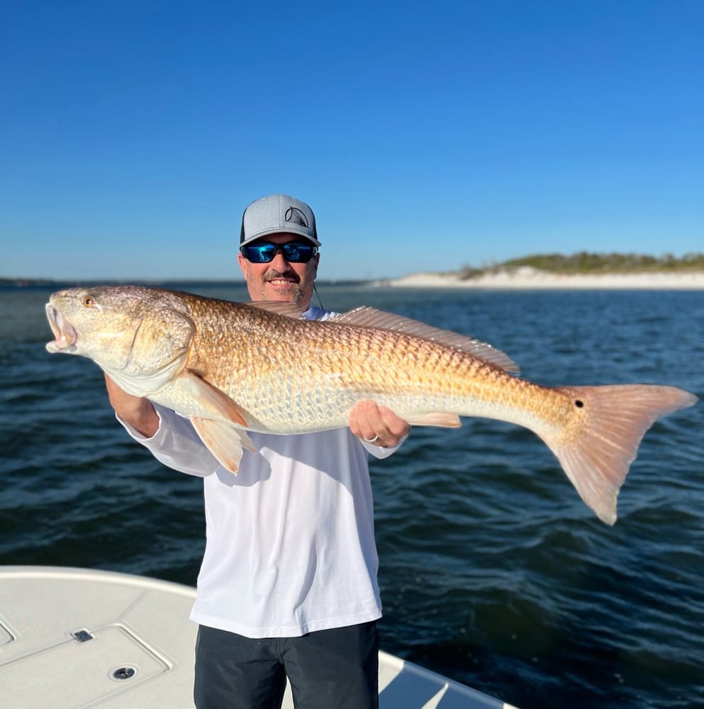 Panama City Inshore Action In Panama City