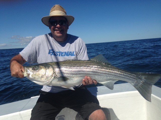 Midsummer Striper - 33’ Grady White In Chatham