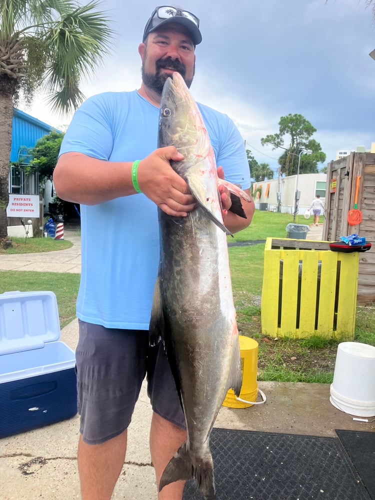 PCB Reefs And Trolling In Panama City Beach