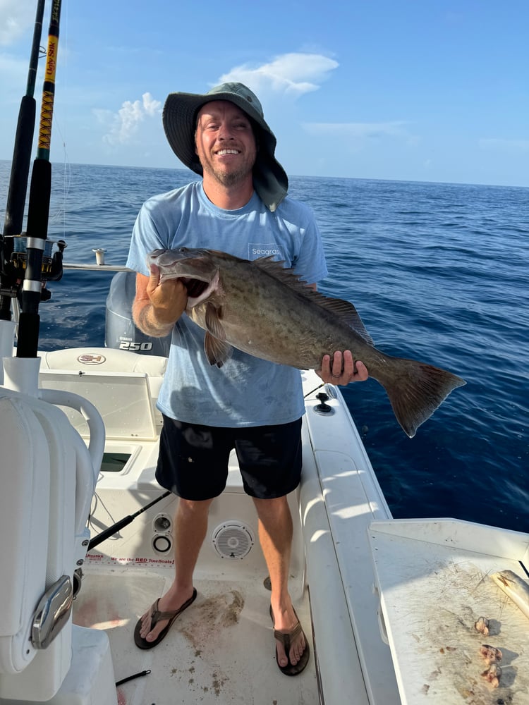 PCB Reefs And Trolling In Panama City Beach