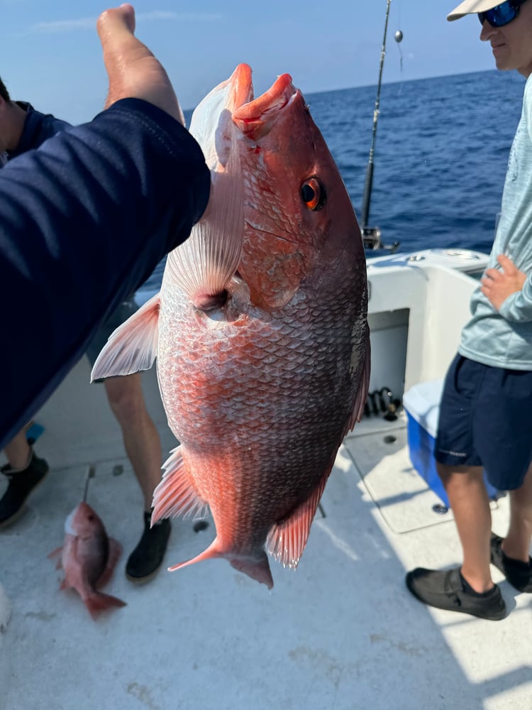 PCB Reefs And Trolling In Panama City Beach