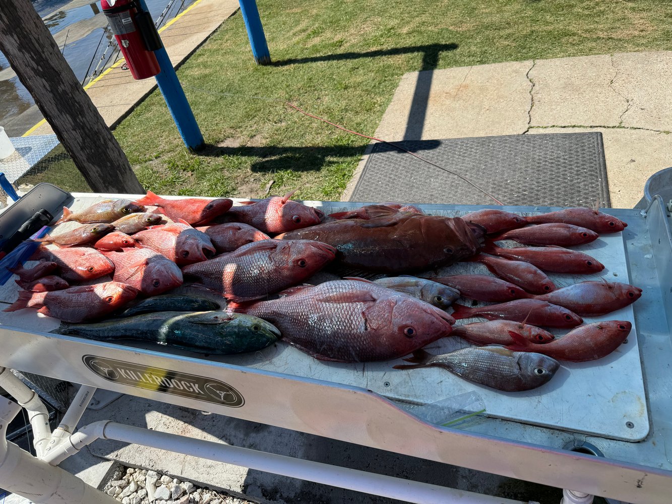 PCB Reefs And Trolling In Panama City Beach