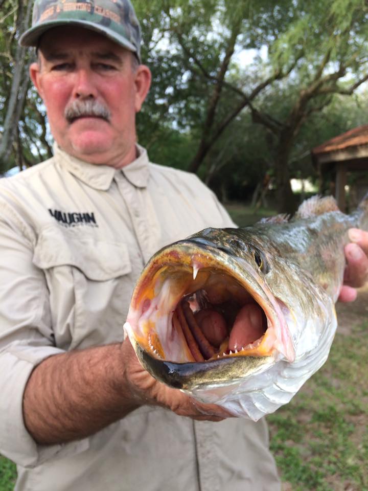 Laguna Madre Inshore Adventure In Port Mansfield