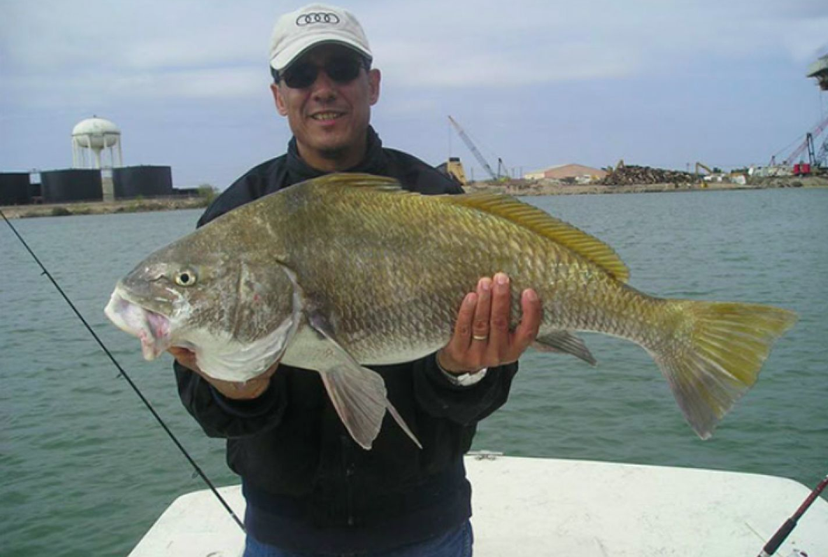 Laguna Madre Inshore Adventure In Port Mansfield