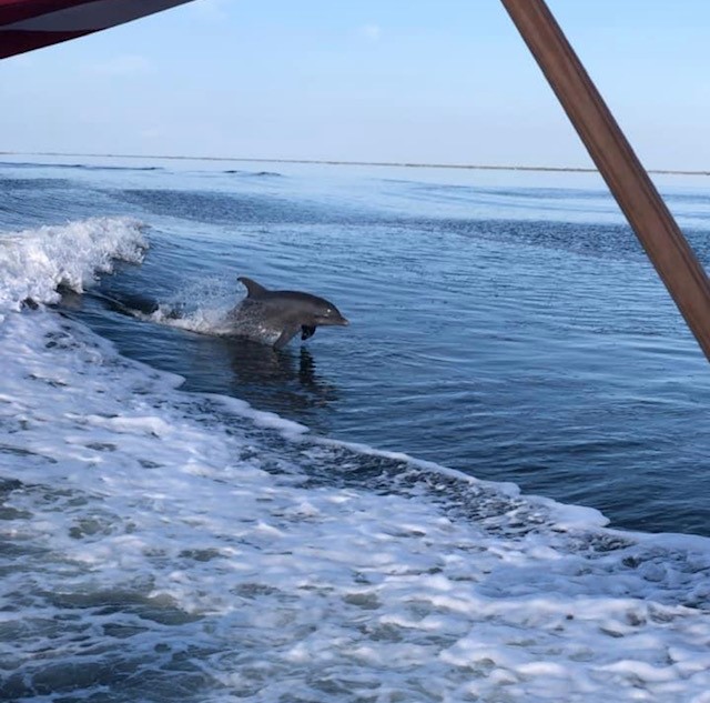 Texas Gulf Coast Fishing In Corpus Christi