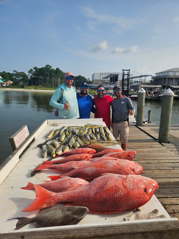 Bottom Fishing Frenzy In Gulf Shores