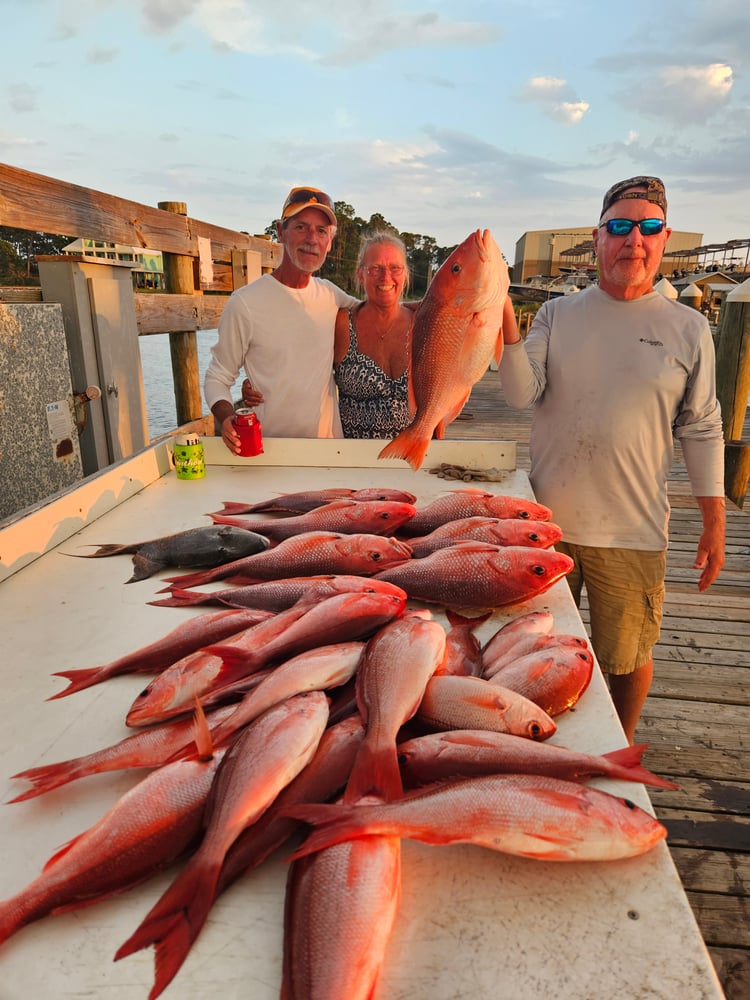 Bottom Fishing Frenzy In Gulf Shores