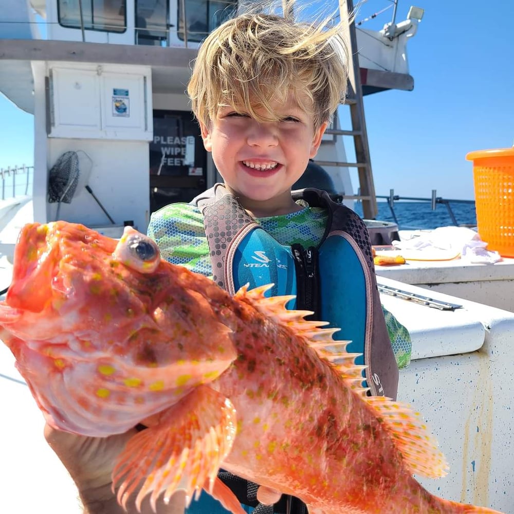 12 Hour Deep Sea In Gulf Shores