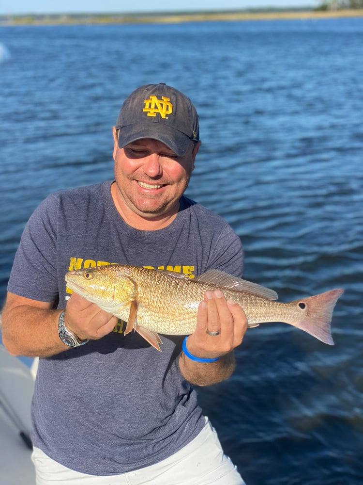 Intense Inshore Action! In Panama City