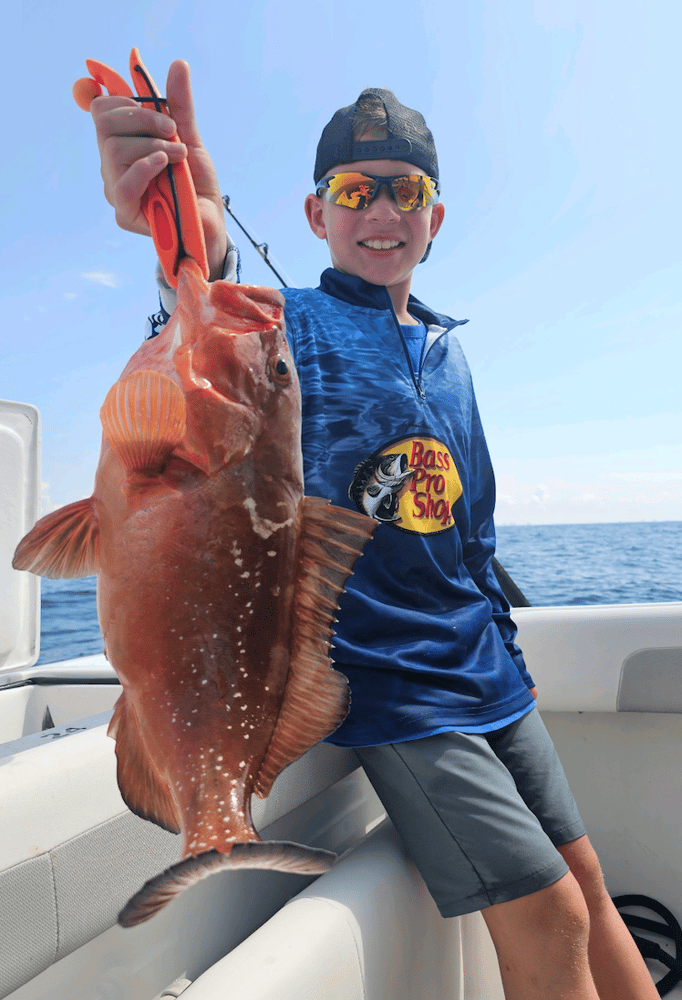 Dolphin Spotting And Fishing In Panama City