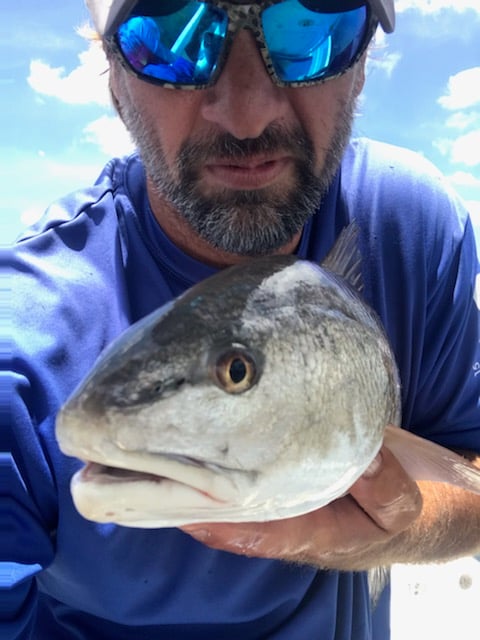 Inshore Fishing Excursion In St. Petersburg