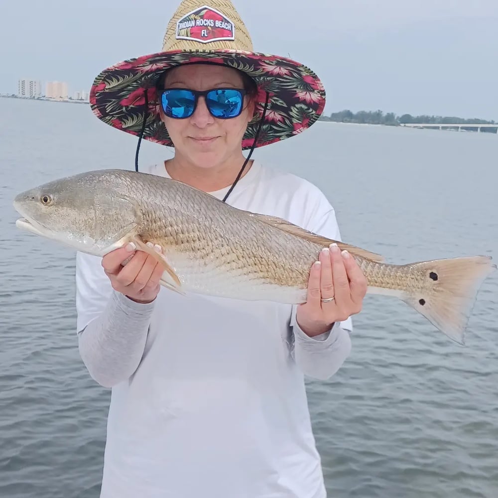 Clearwater Flats Fishing In Clearwater