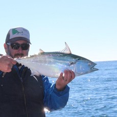 Early Season Striper - 26’ In Chatham