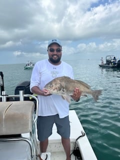 POC Fishing Frenzy In Port O'Connor