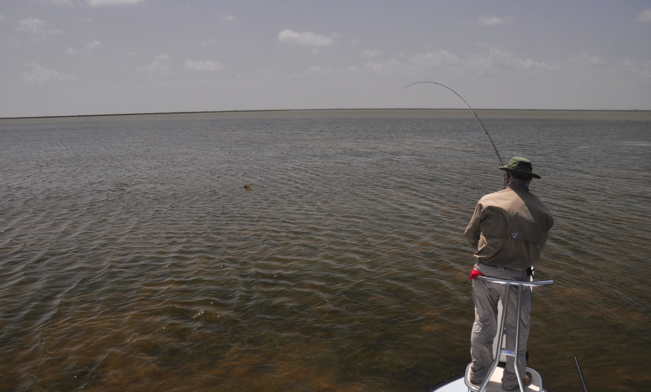 Sight Casting Safari In Rockport