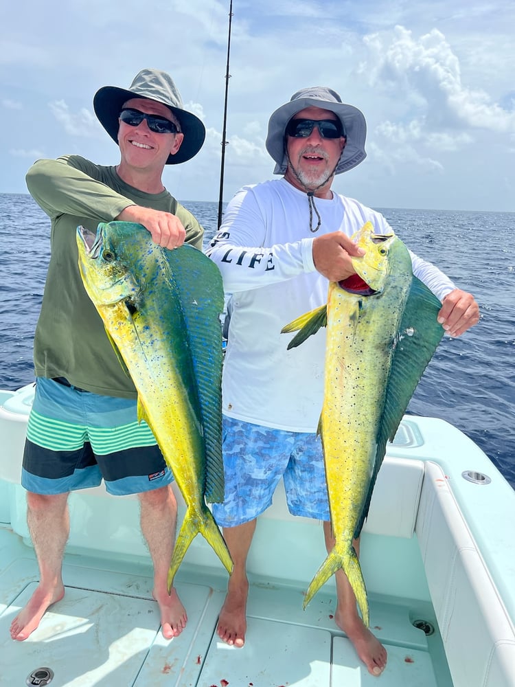 Key Largo Offshore Mixed Bag In Key Largo