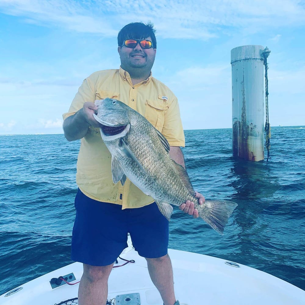 Epic Inshore Adventure In Gulf Shores