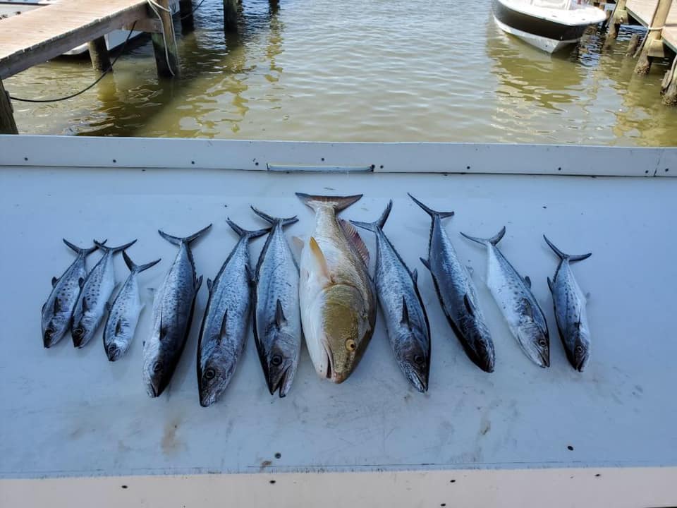 4 Hrs Inshore With Capt. Hunter In Gulf Shores