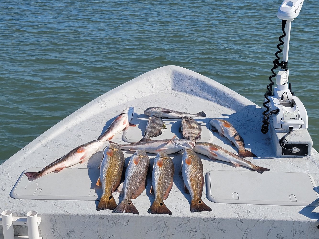 Full Day Or Half-day Fishing Trip In Port O'Connor