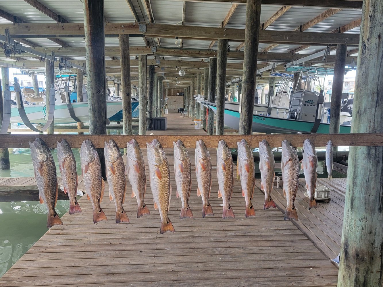 Full Day Or Half-day Fishing Trip In Port O'Connor