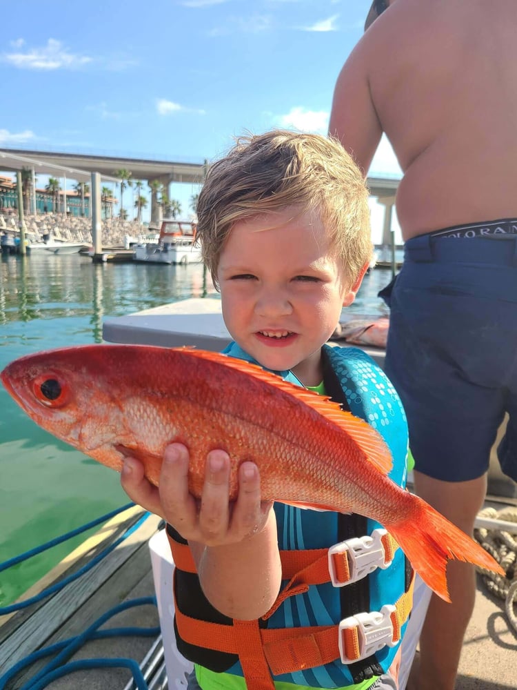 Bottom Fishing Frenzy In Gulf Shores