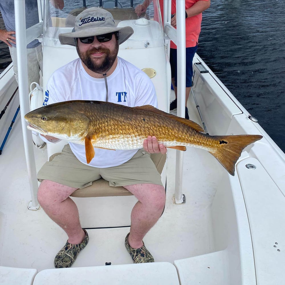 Intense Inshore Action! In Panama City