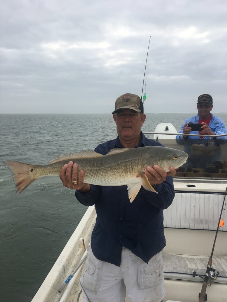 Laguna Madre Inshore Adventure In Port Mansfield