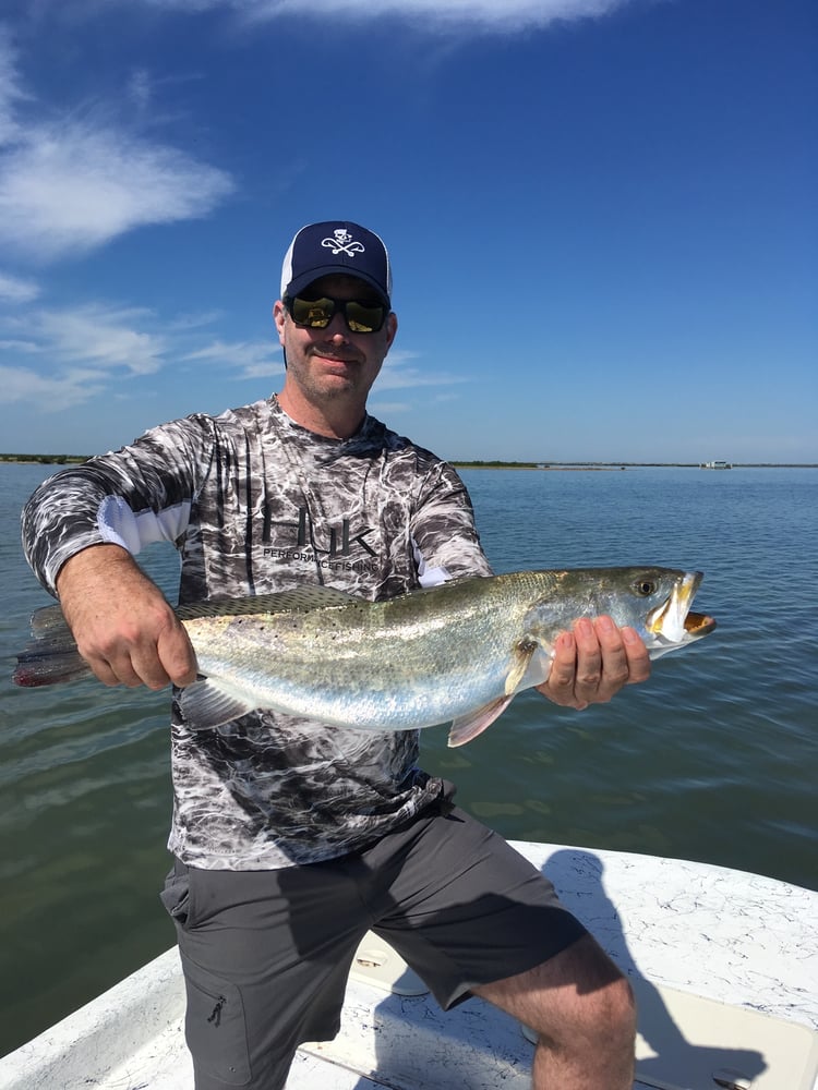 Laguna Madre Inshore Adventure In Port Mansfield