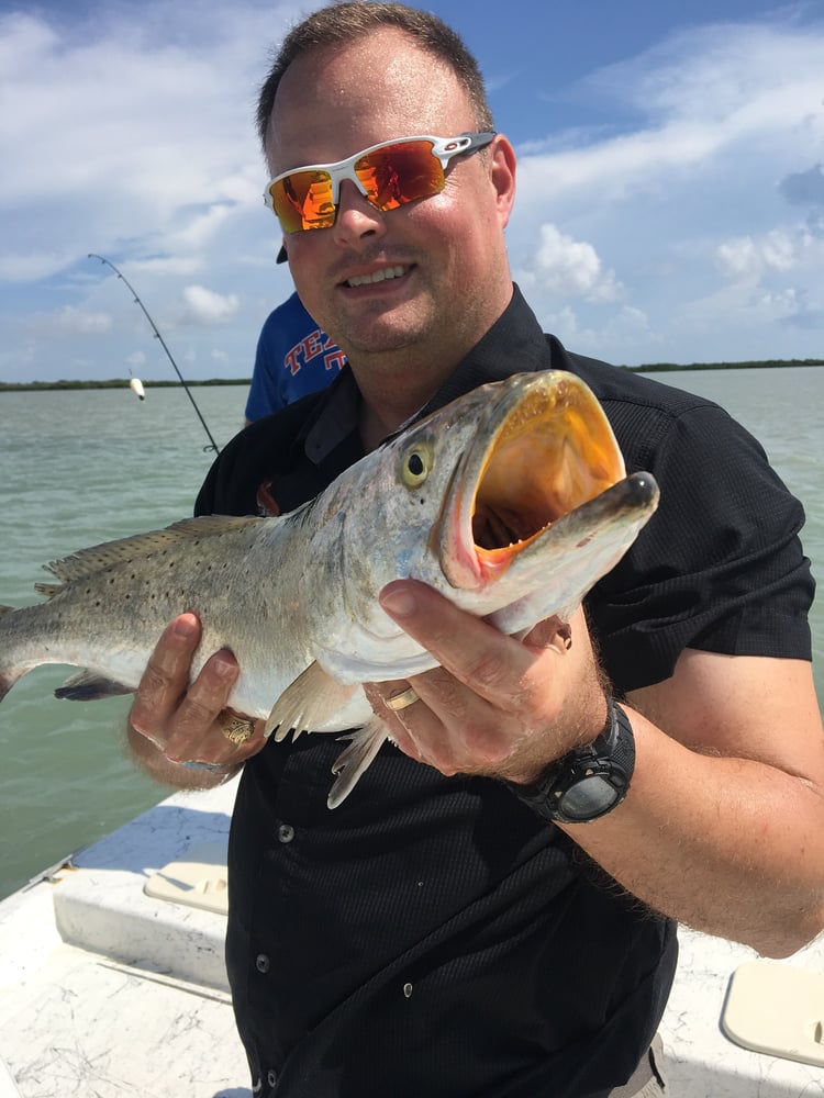 Laguna Madre Inshore Adventure In Port Mansfield