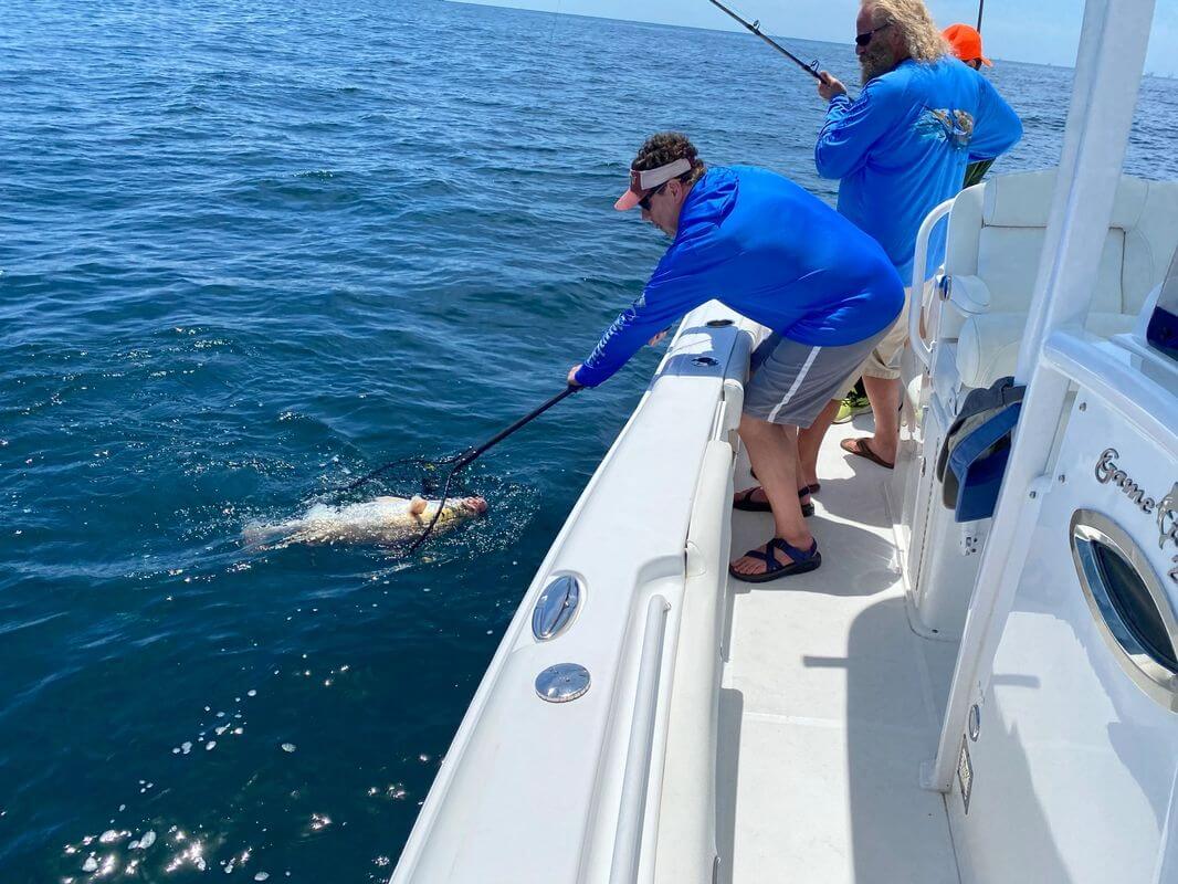 4 Hour Inshore/Nearshore Trip In Orange Beach