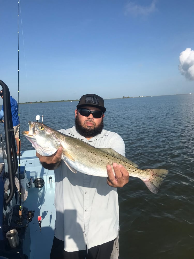 Galveston, TX Bay Fishing Charters  | Captain Experiences In Hitchcock