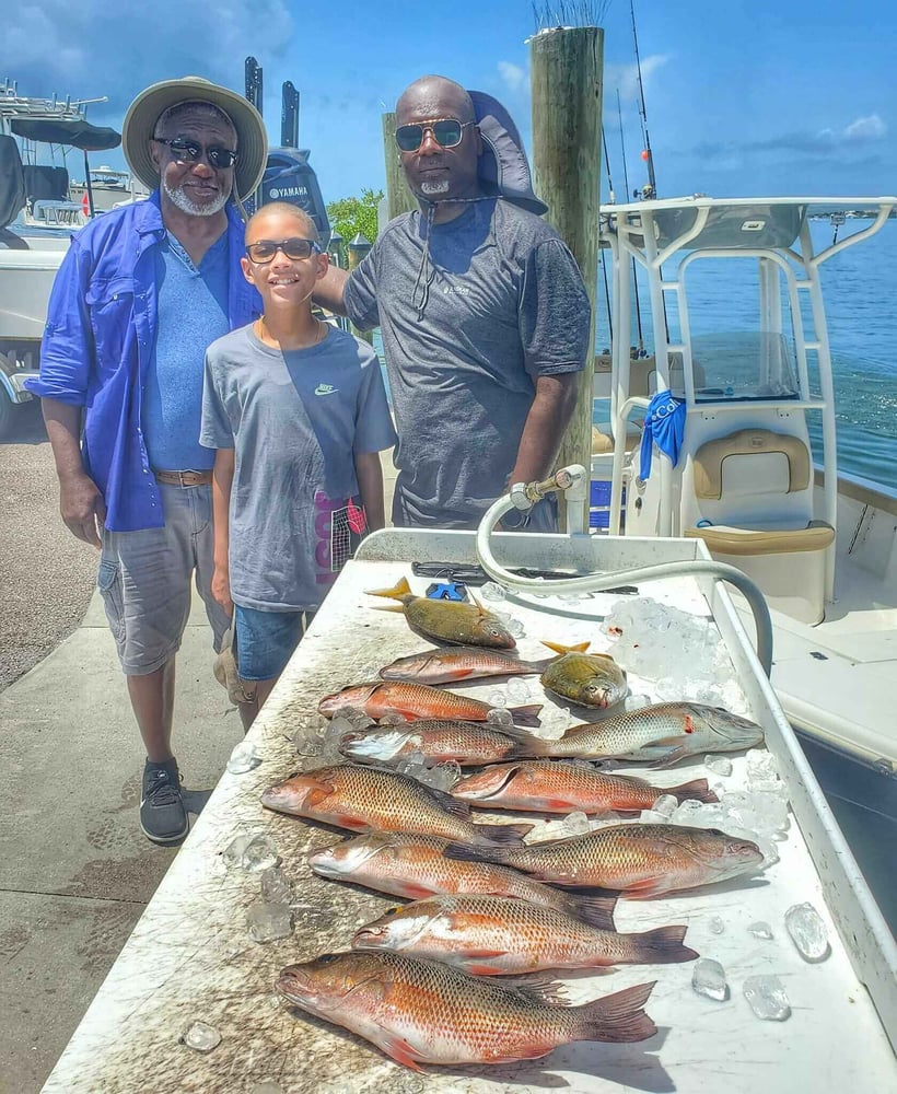 Florida Classics On Light Tackle In St. Petersburg