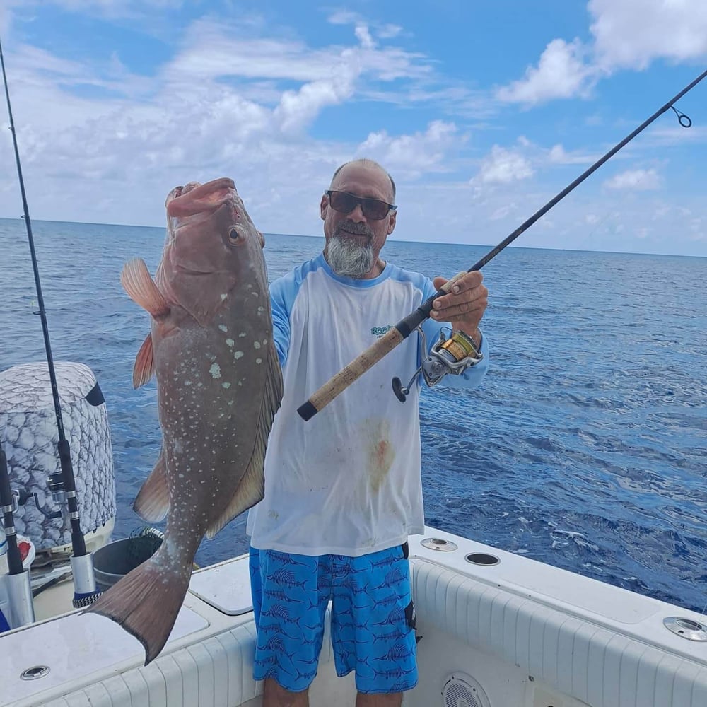 Full Day Offshore In Gulfport