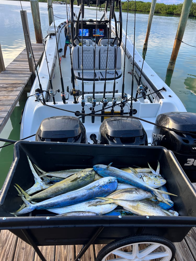 Miami Beach Fishing Adventure In Miami Beach