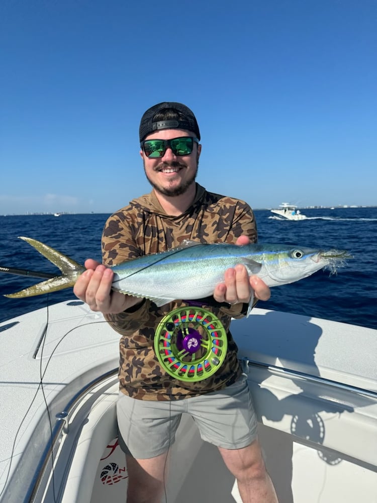 Offshore Fly Fishing In Jupiter