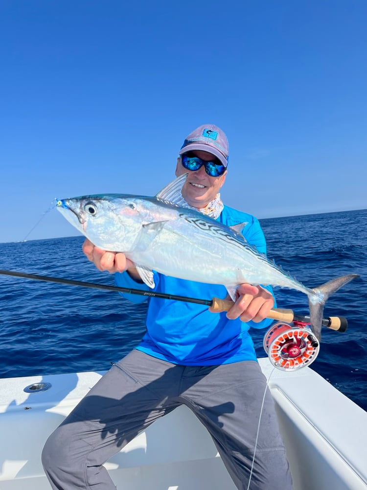 Offshore Fly Fishing In Jupiter