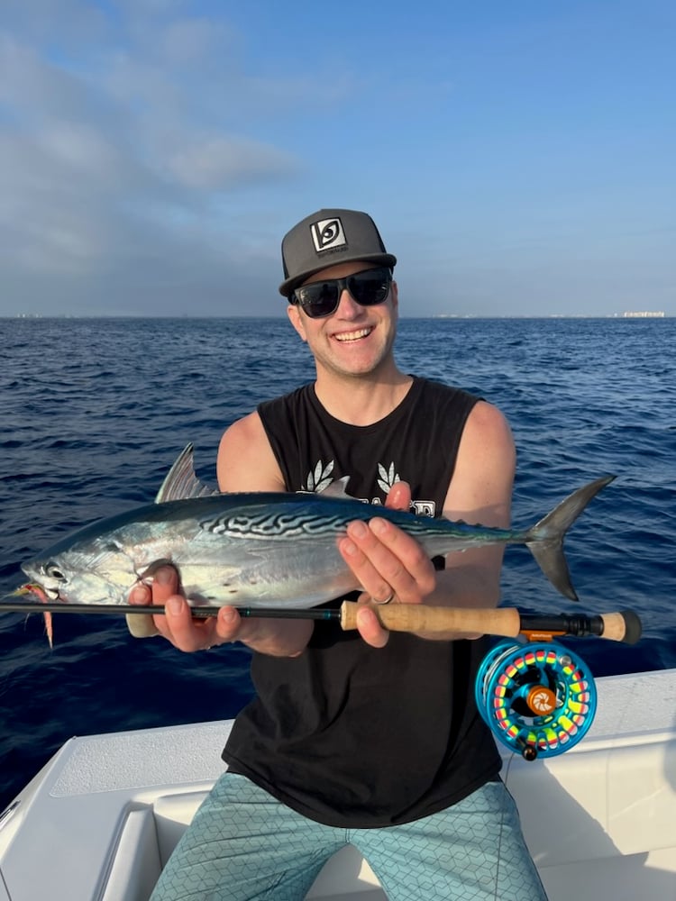 Offshore Fly Fishing In Jupiter