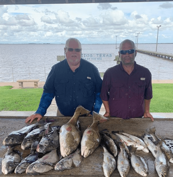 Matagorda "Texas Trio" In Matagorda