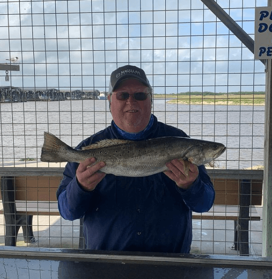 Matagorda "Texas Trio" In Matagorda