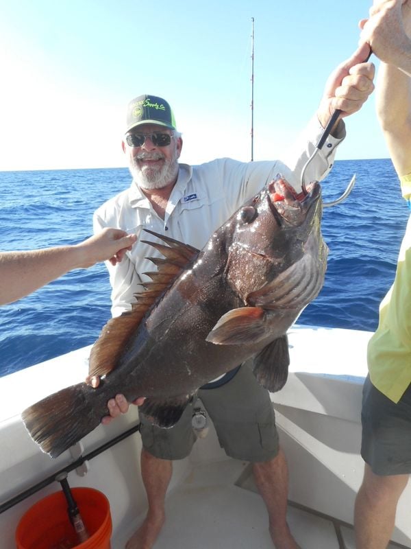 Freeport Offshore Run - 38' Luhrs In Freeport