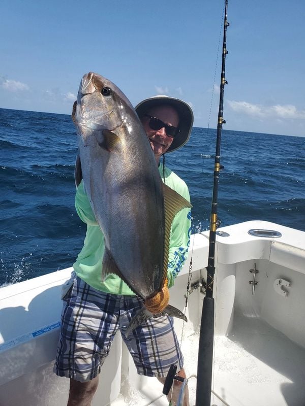 Freeport Offshore Run - 38' Luhrs In Freeport