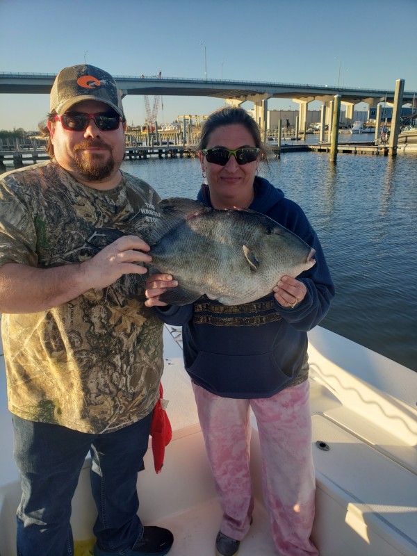 Gulfbound Glory: Emerald Coast In Pensacola