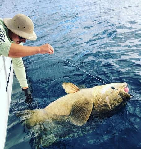 Offshore Max-Out Seasonal Species In St. Petersburg