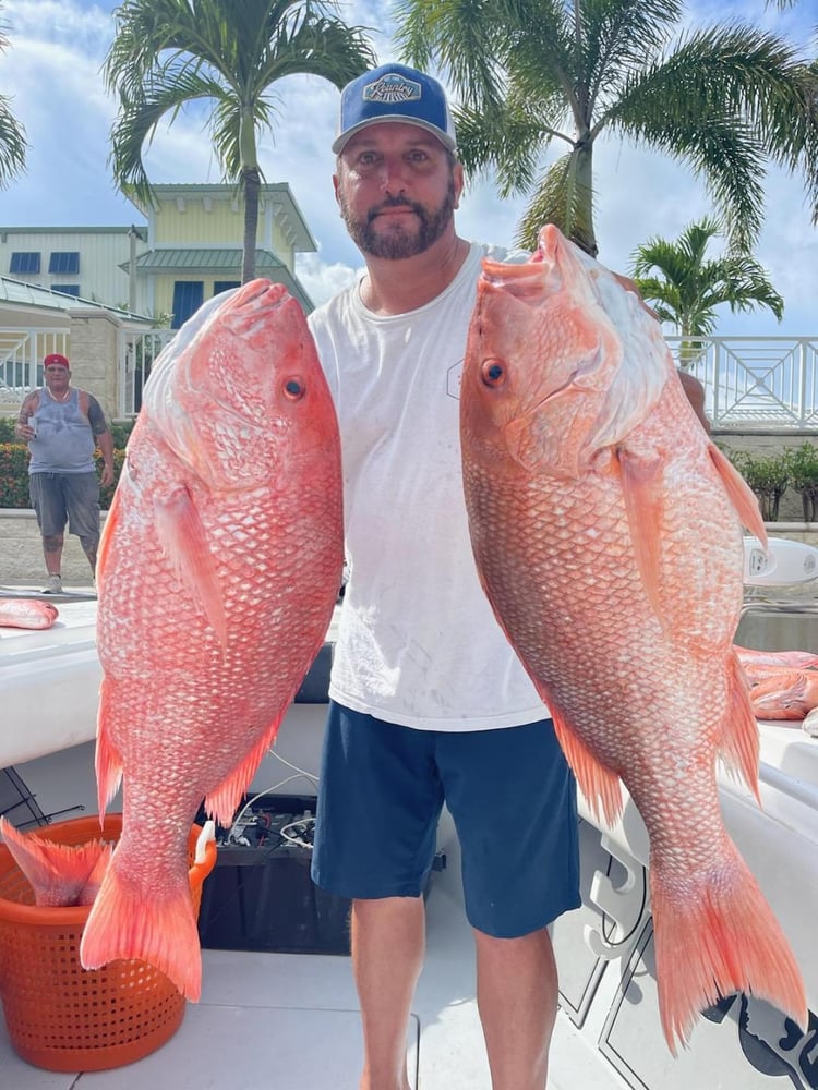 Offshore Max-Out Seasonal Species In St. Petersburg