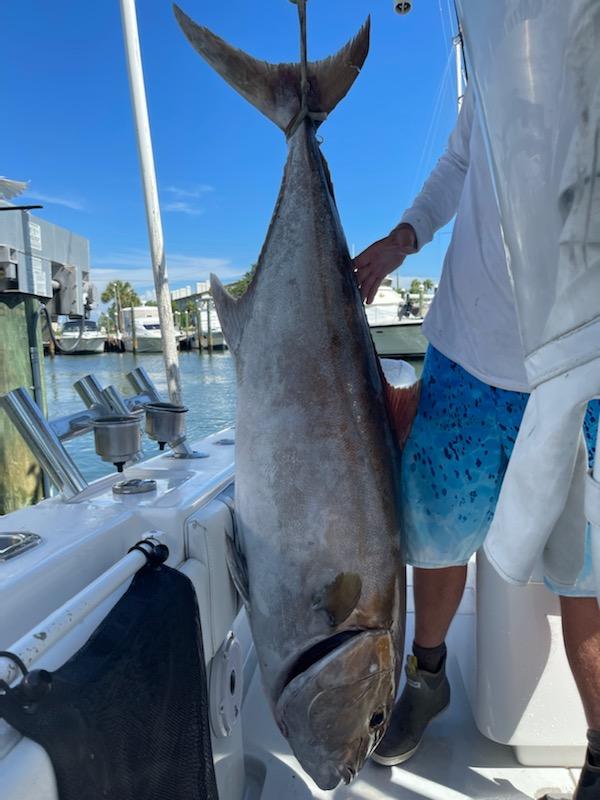 Offshore Max-Out Seasonal Species In St. Petersburg