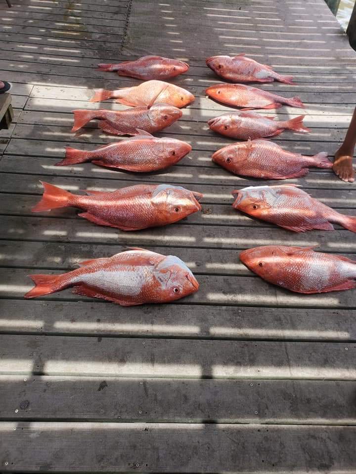 A Nearshore Party In Paradise In Freeport